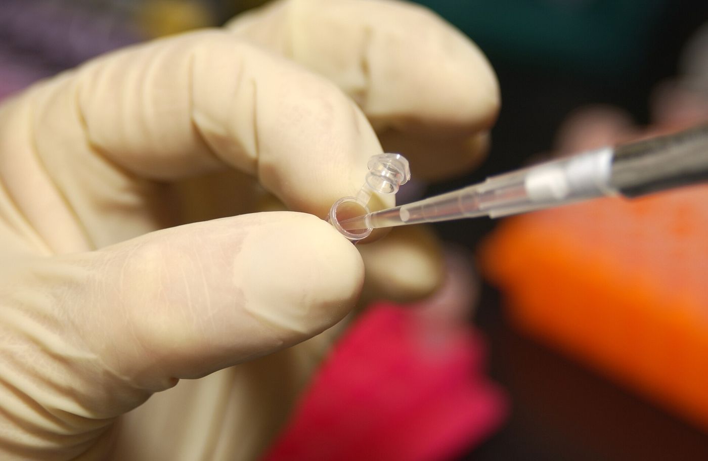 NHGRI researcher uses a pipette to remove DNA from a micro test tube